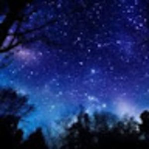 Meet your Posher, Natalia